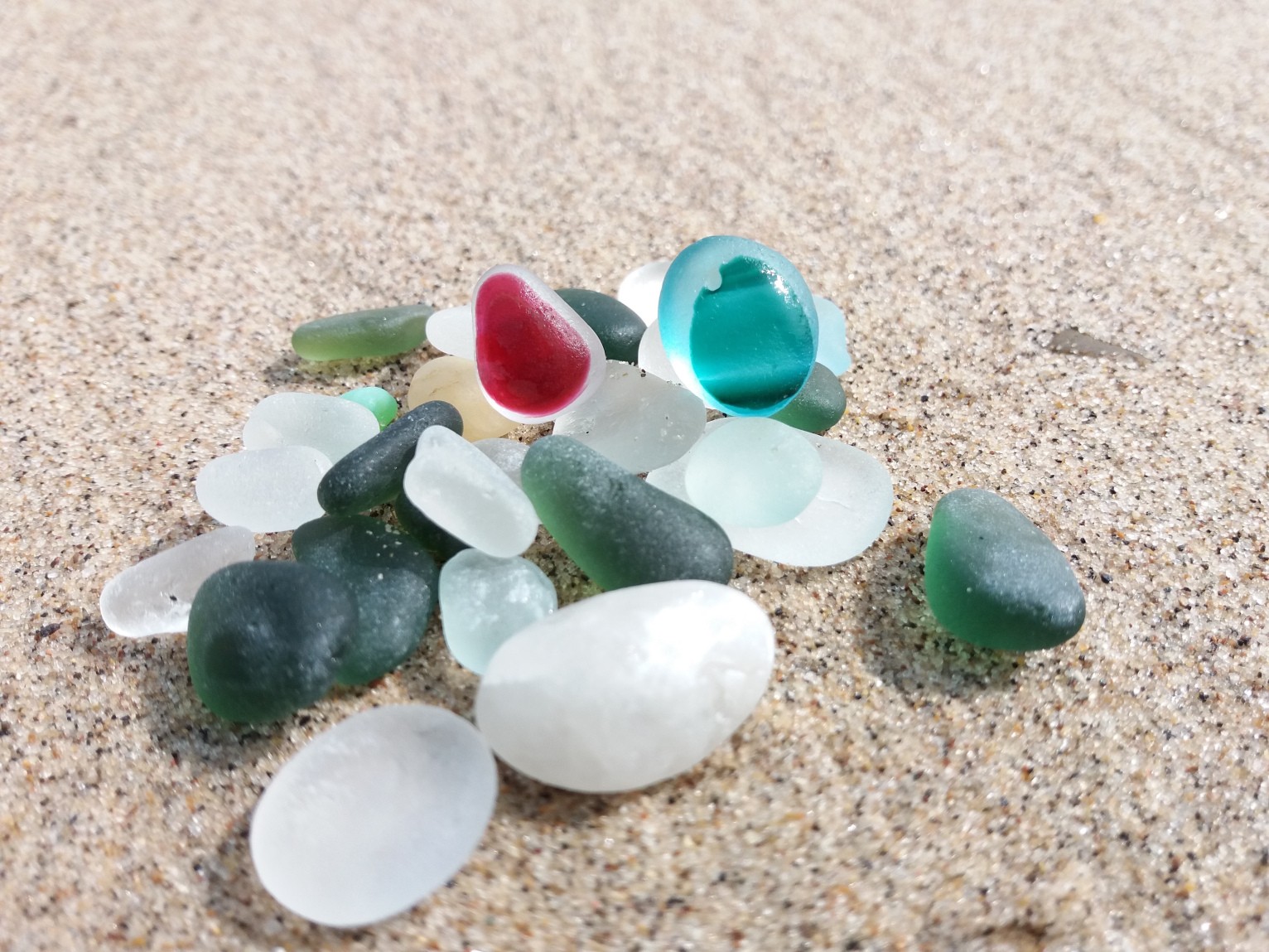 Week 5 12 Beachcombing Week 5 12