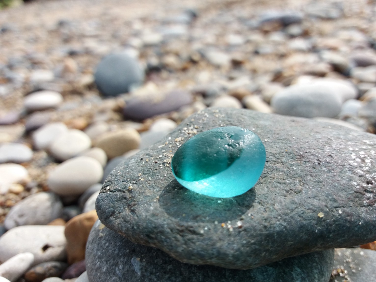 Week 5 13 Beachcombing Week 5 13