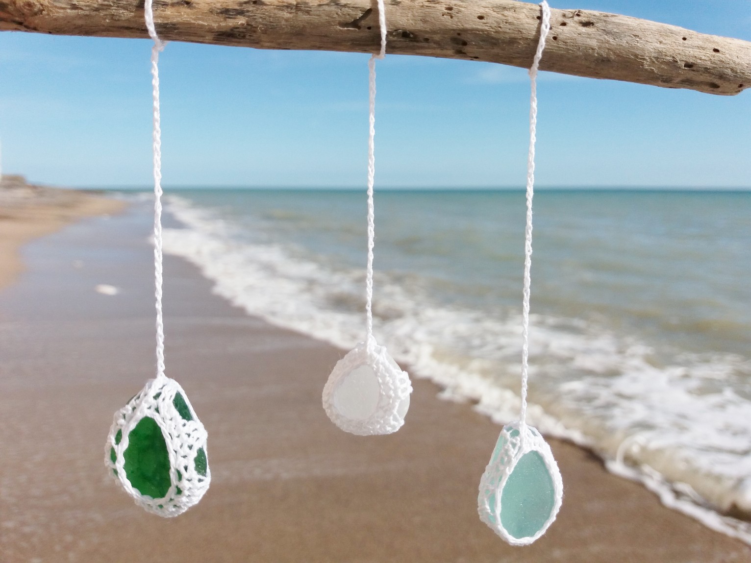 Week 5 16 Beachcombing Week 5 16