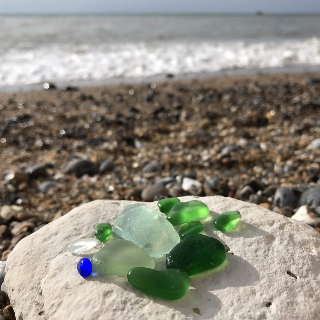 Week 5 19 Beachcombing Week 5 19