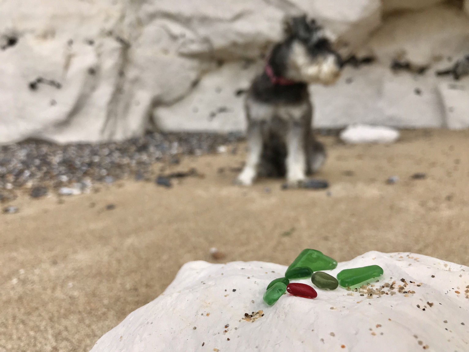 Week 5 20 Beachcombing Week 5 20