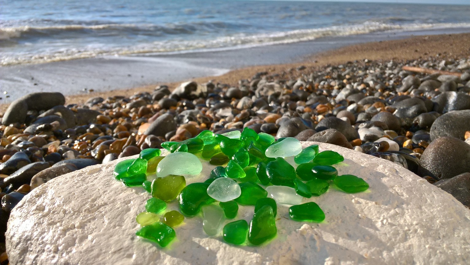 Week 5 8 Beachcombing Week 5 8