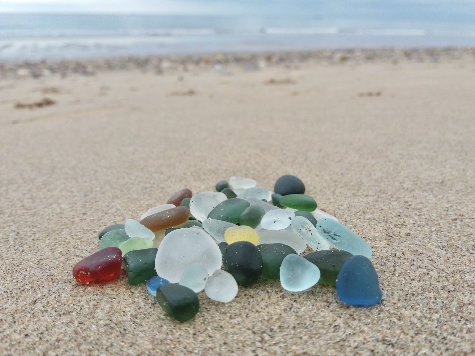 Week 5 9 Beachcombing Week 5 9